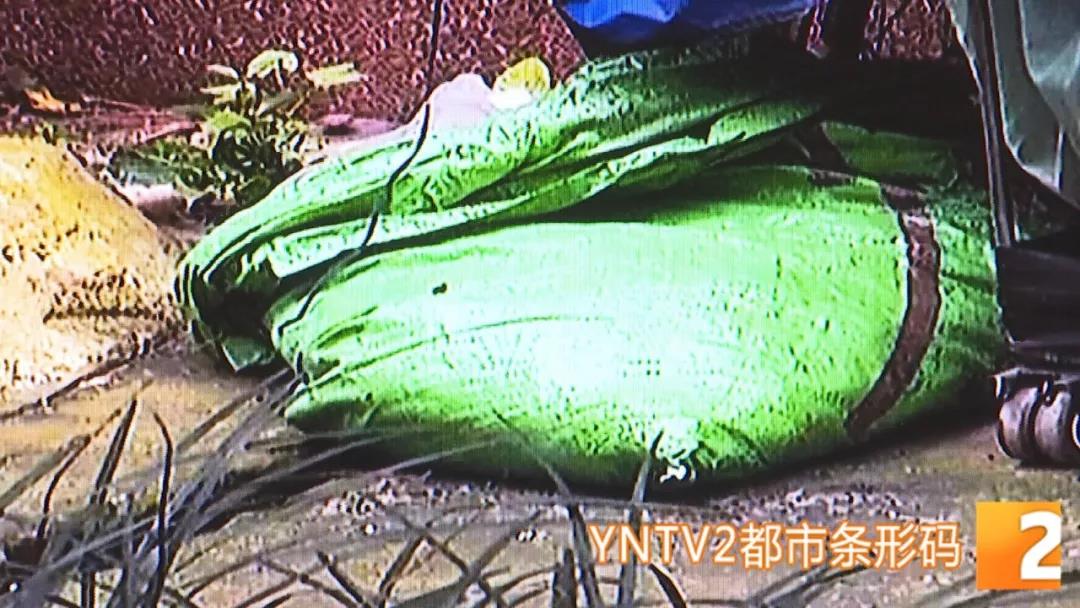 微信图片_20180925090716.jpg