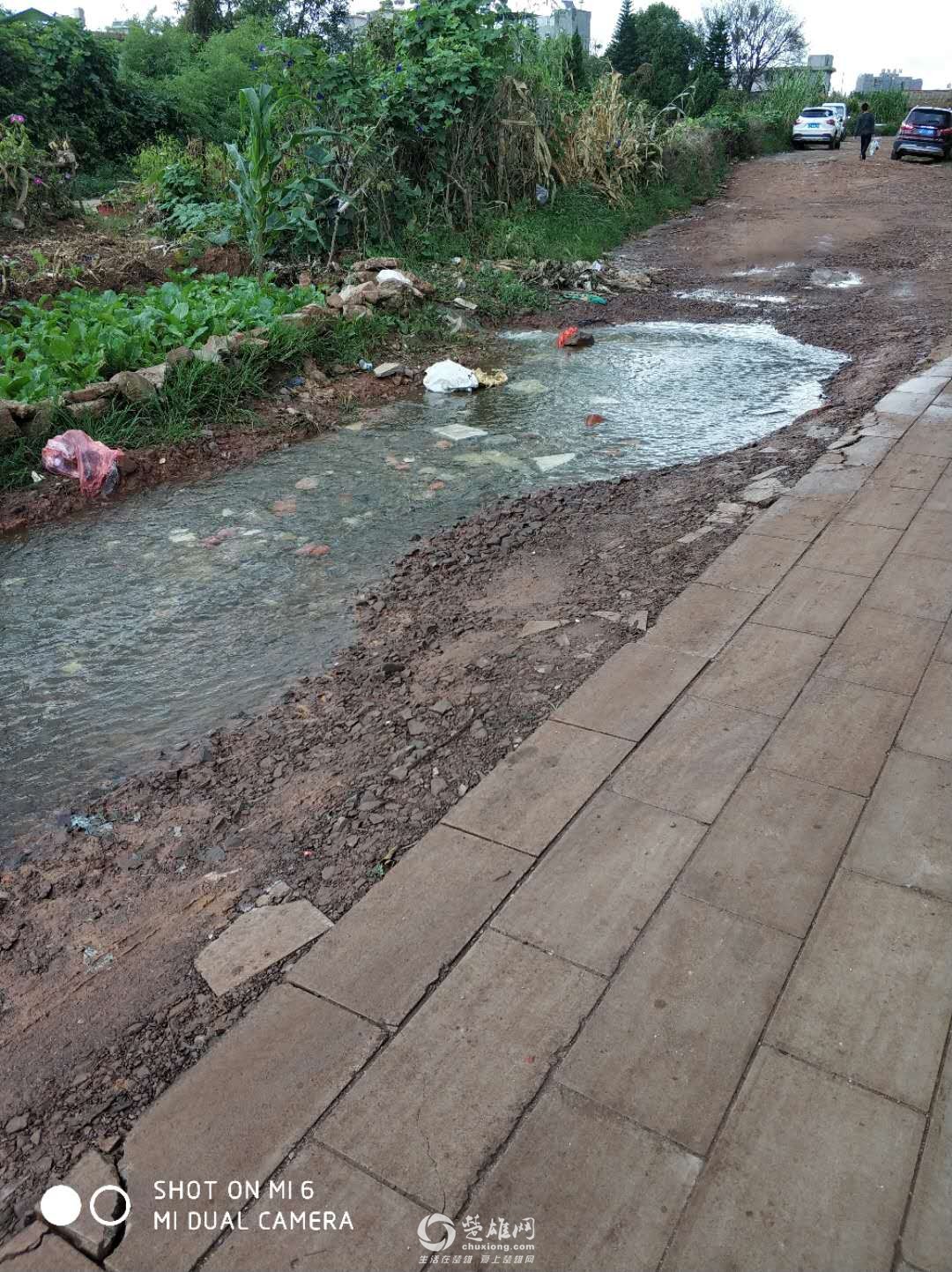 楚雄网_20180923_113053.jpg
