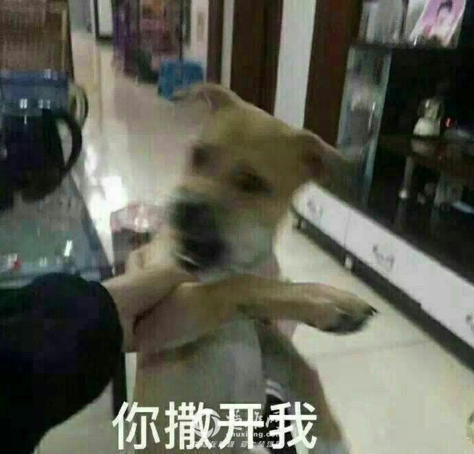 1545269939485854.jpg