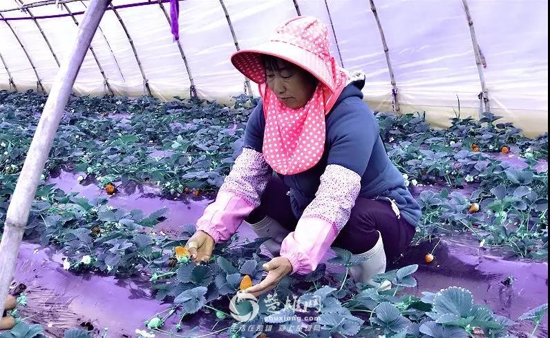 微信图片_20190117170142.jpg