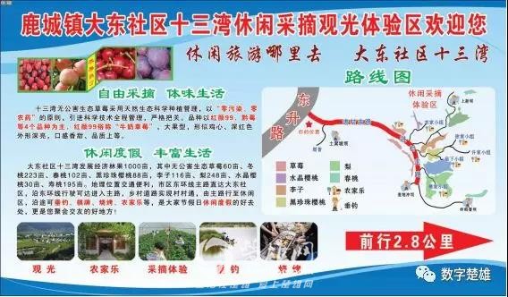 微信图片_20190117170153.jpg