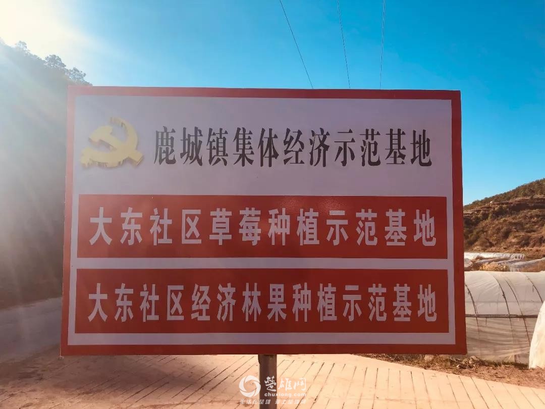微信图片_20190117170157.jpg