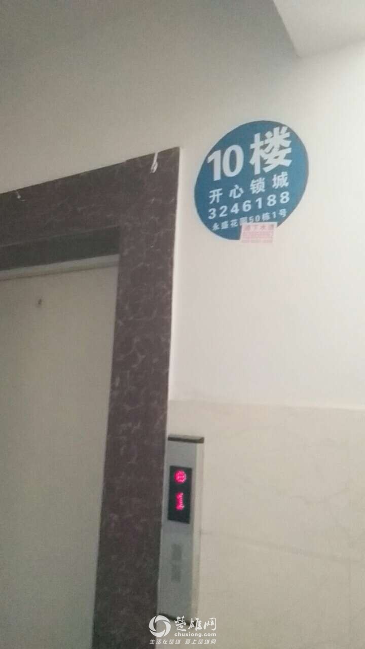 20190408_307841_1554720644603.jpg