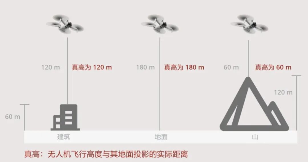 微信图片_2026-01-22_165552_373.jpg
