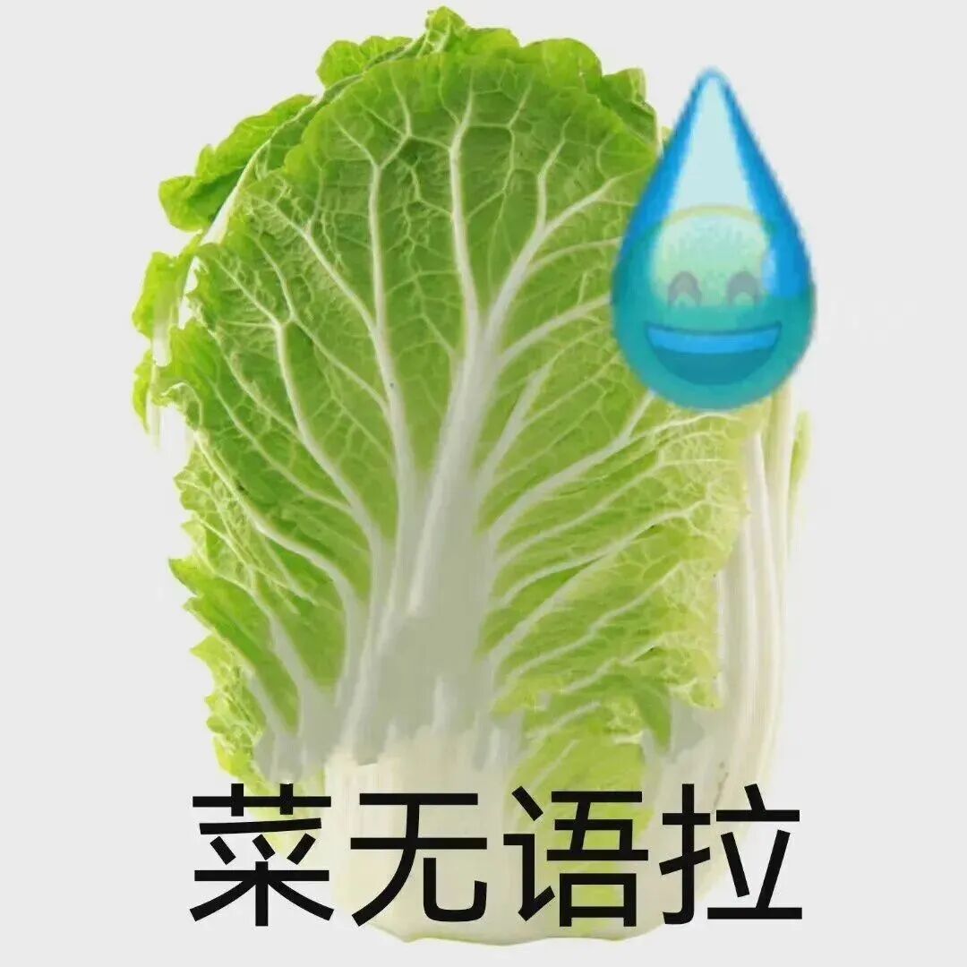 微信图片_2026-03-07_113905_228.jpg