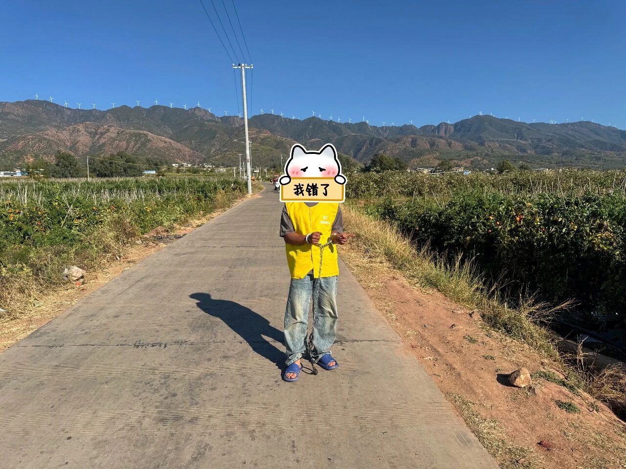 微信图片_2026-03-07_113919_196.jpg