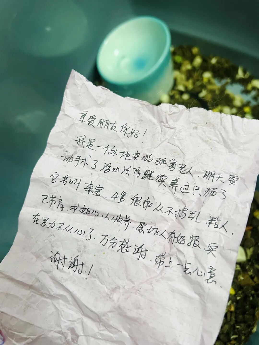 微信图片_2026-03-11_100532_371.jpg
