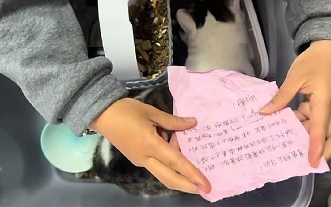 微信图片_2026-03-11_100544_466.jpg
