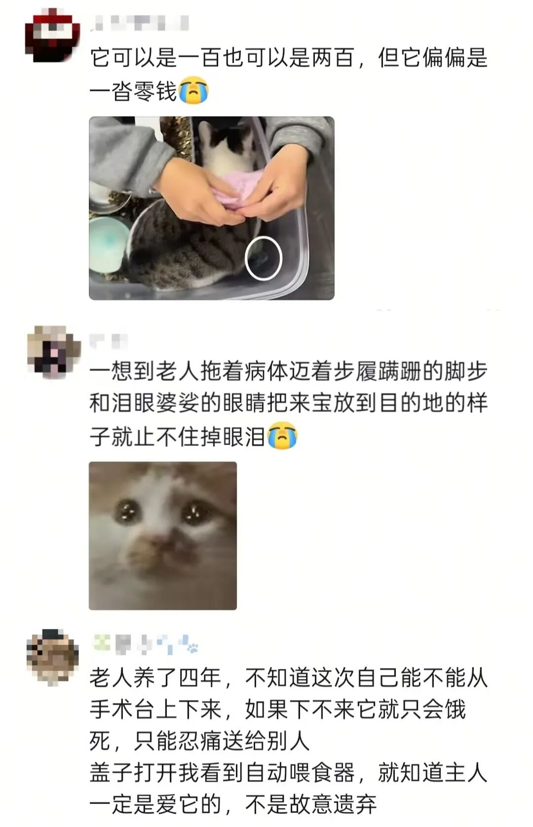 微信图片_2026-03-11_100550_722.jpg
