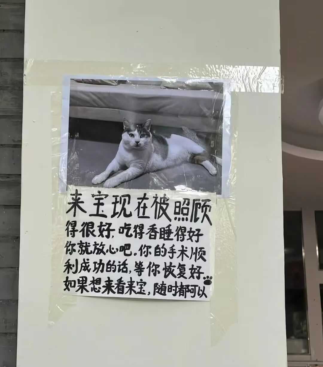 微信图片_2026-03-11_100554_715.jpg