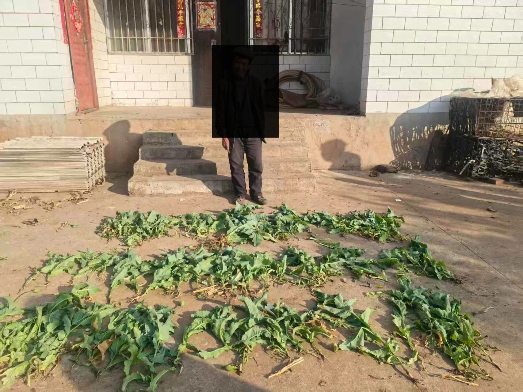 微信图片_2026-03-14_093920_828.jpg