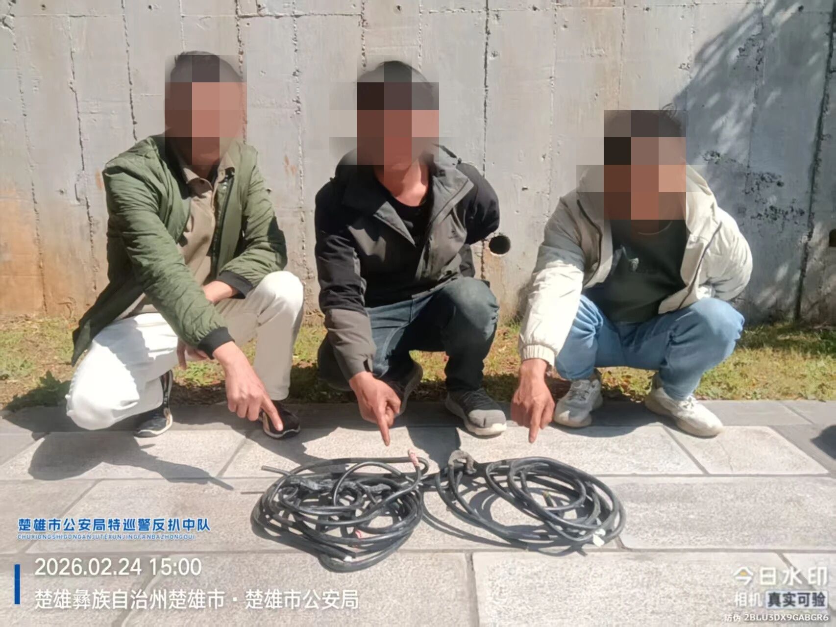 微信图片_2026-03-17_091953_236.jpg