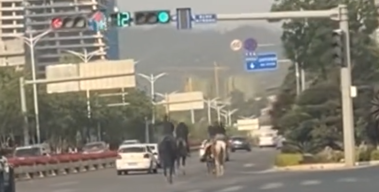 微信图片_2026-04-22_153750_607.png