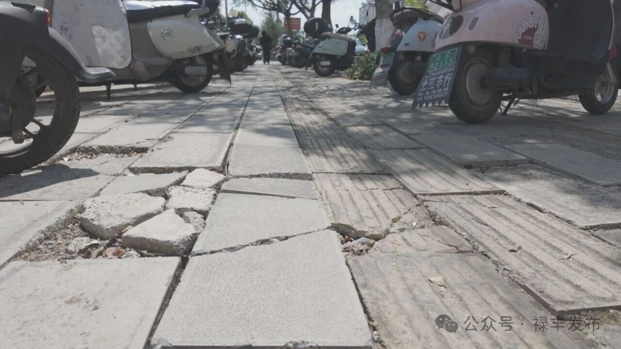 微信图片_2026-05-12_094307_014.jpg