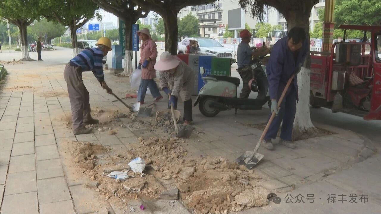 微信图片_2026-05-12_094321_662.jpg