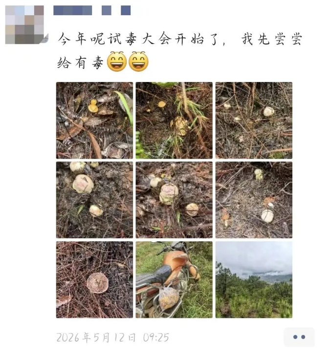 微信图片_20260521162624_1594_22.png