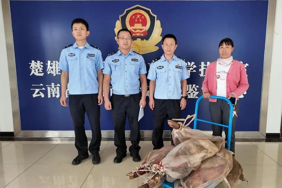 微信图片_2026-05-22_095220_908.jpg