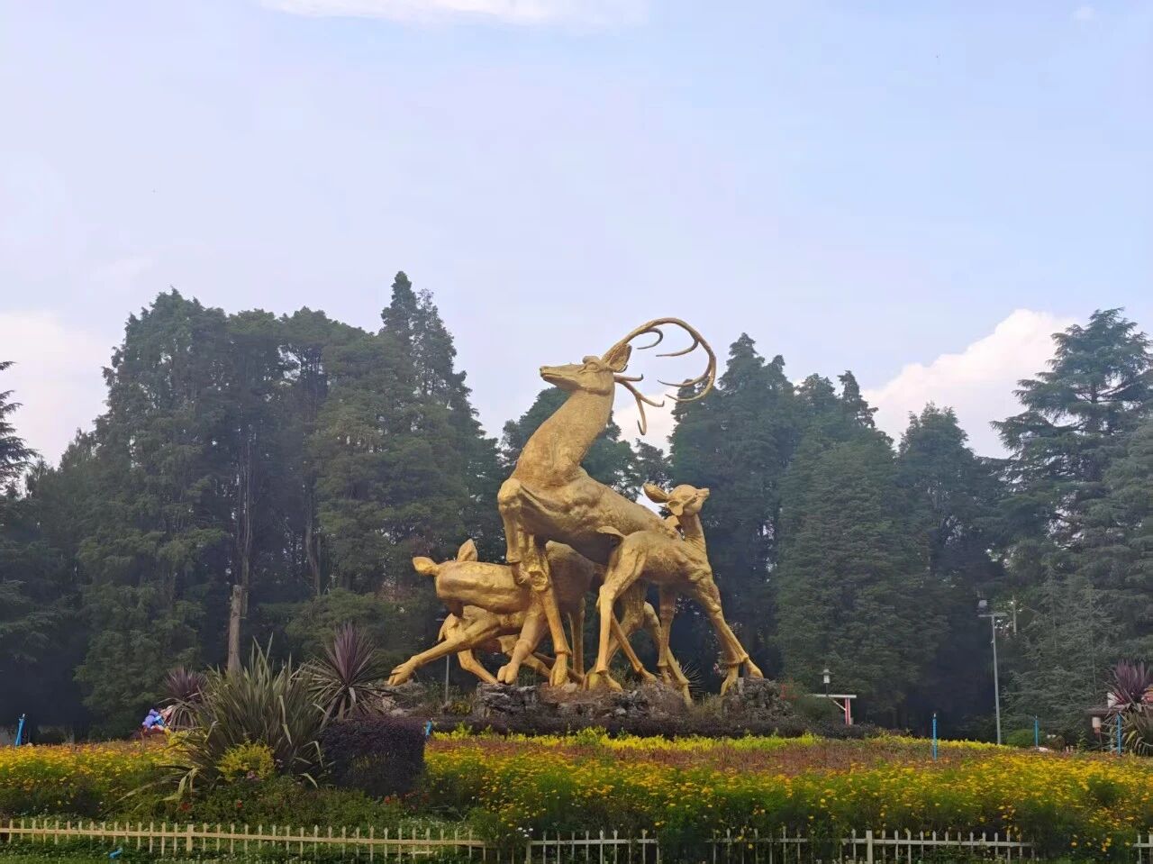 微信图片_2026-05-25_171835_234.jpg