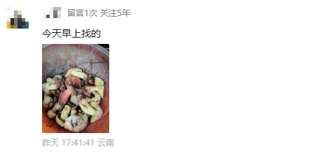 微信图片_2026-06-01_093227_782.png