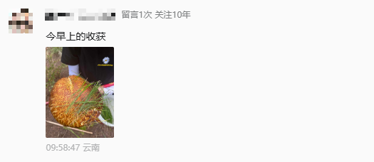 微信图片_2026-06-01_093234_788.png