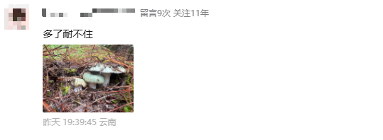 微信图片_2026-06-01_093242_636.png