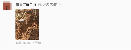 微信图片_2026-06-01_093249_524.png