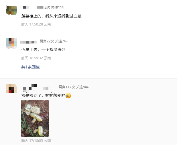 微信图片_2026-06-01_093252_661.png
