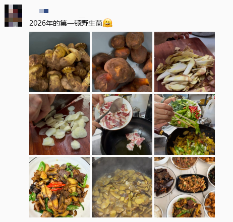 微信图片_2026-06-01_093307_092.png