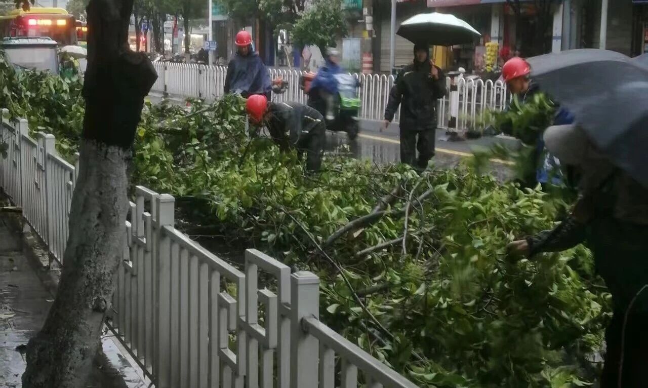 微信图片_2026-06-02_093803_349.jpg