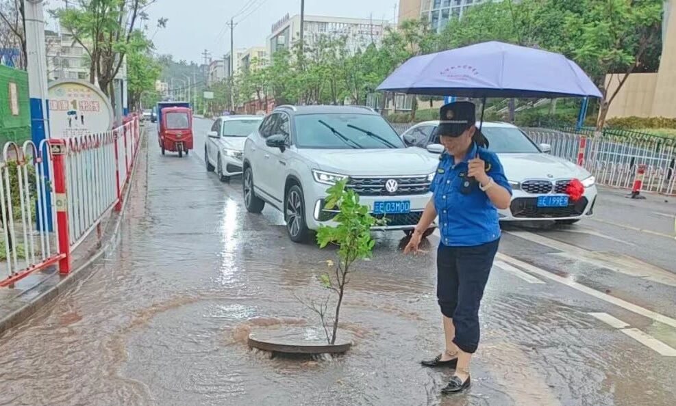 微信图片_2026-06-02_093806_943.jpg