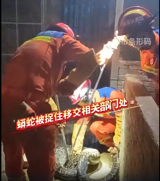 微信图片_2026-06-03_111951_137.png