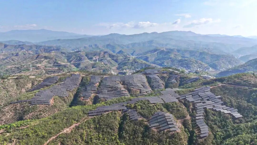微信图片_2026-06-08_160858_523.jpg